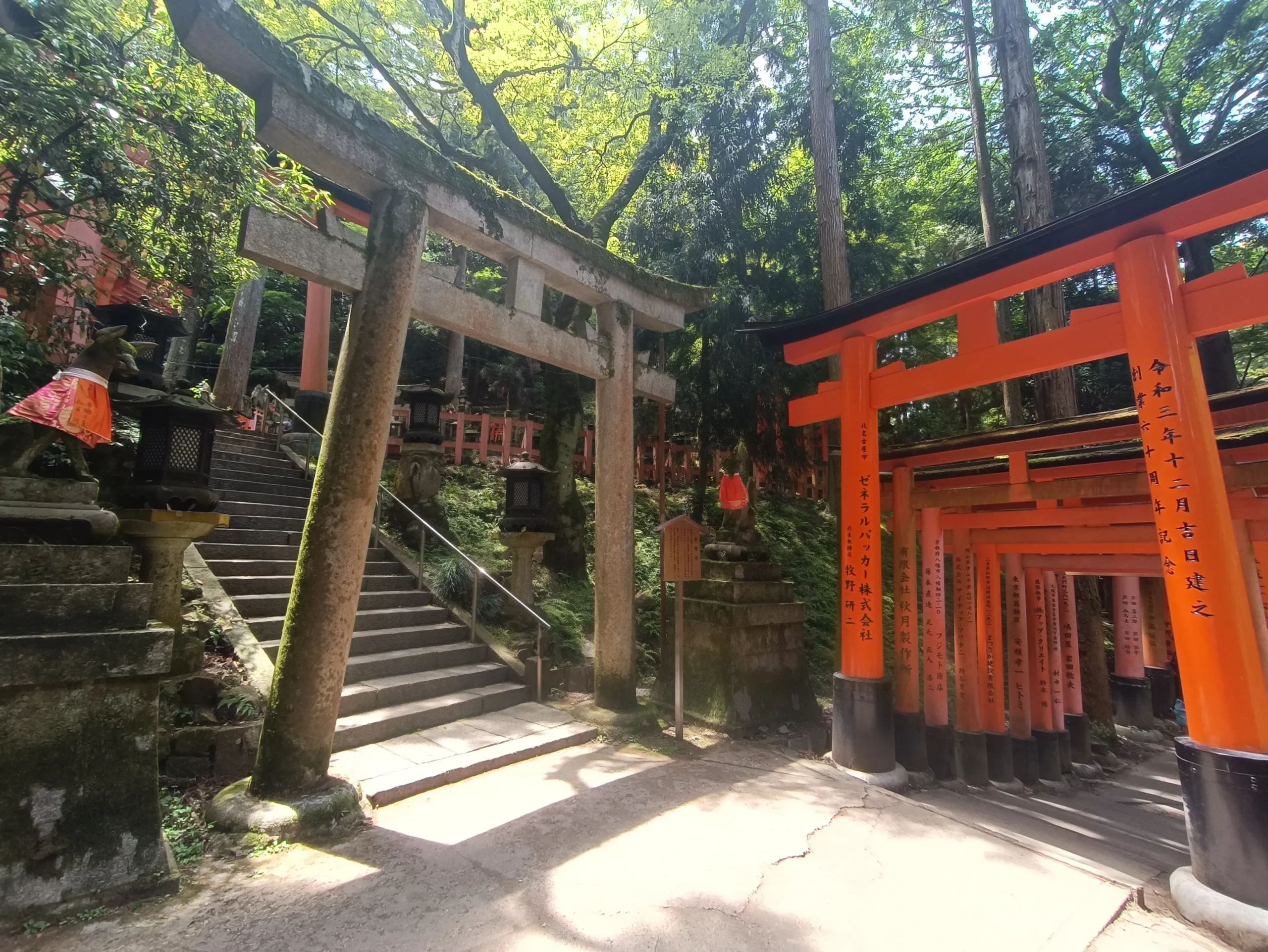 Sentier bordé de torii vermillon au sanctuaire Fushimi Inari Taisha à Kyoto, traversant une forêt sacrée
