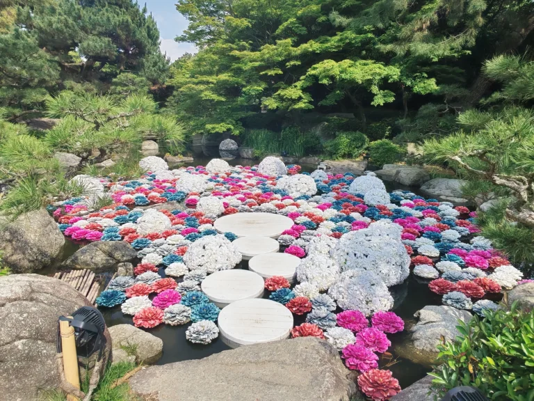 Photo prise dans le petit parc payant du grand parc Ohori représentant des plateformes sur l’eau avec pleins de fleurs flottants autour