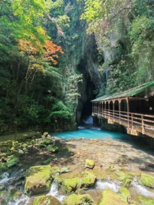 Sortie de la grotte d’Akiyoshido entourée de grands arbres avec son pont et son étang bleu clair