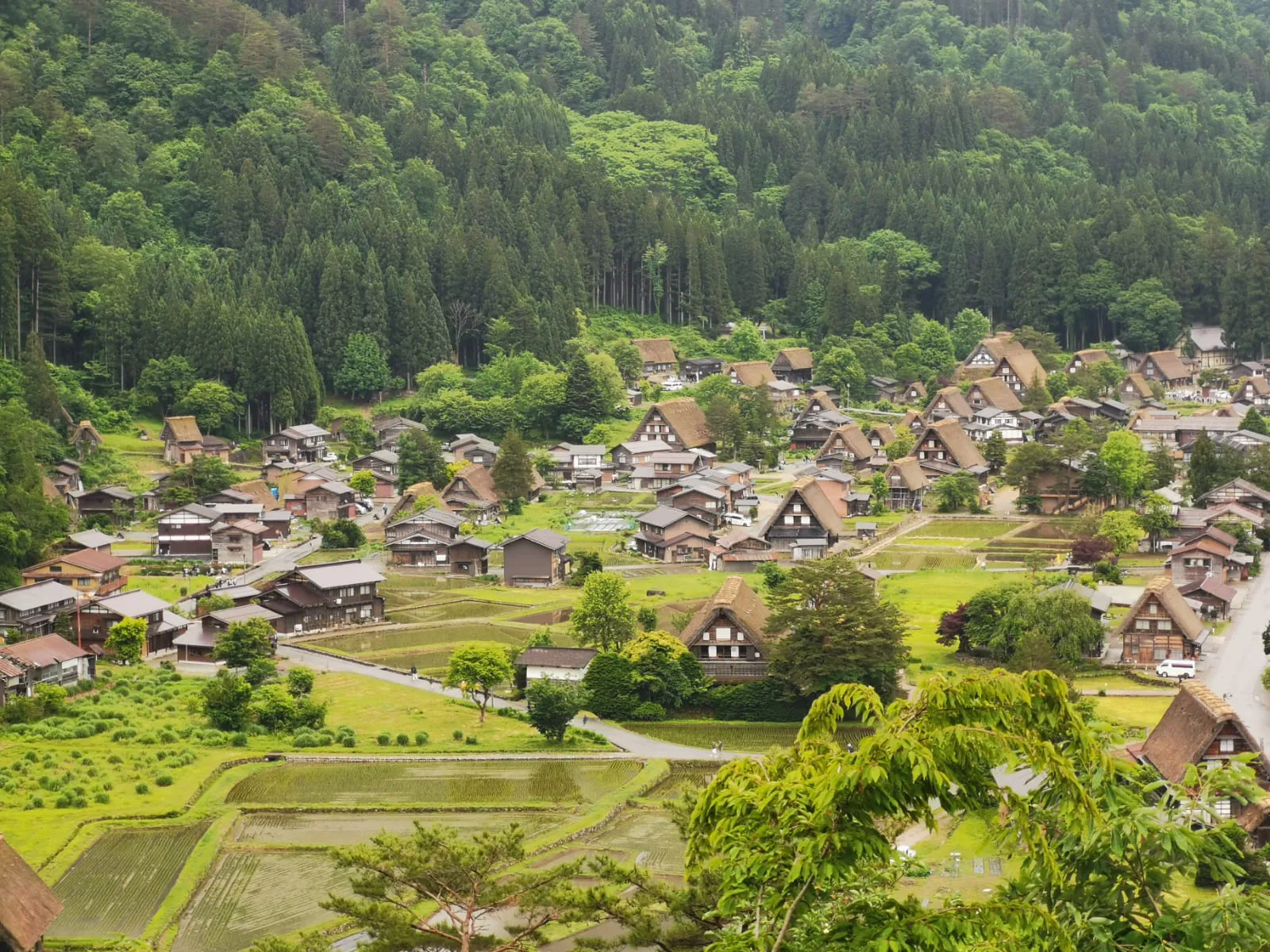 Village traditionnel de Shirakawa-go, l'une des plus belles destinations du Japon