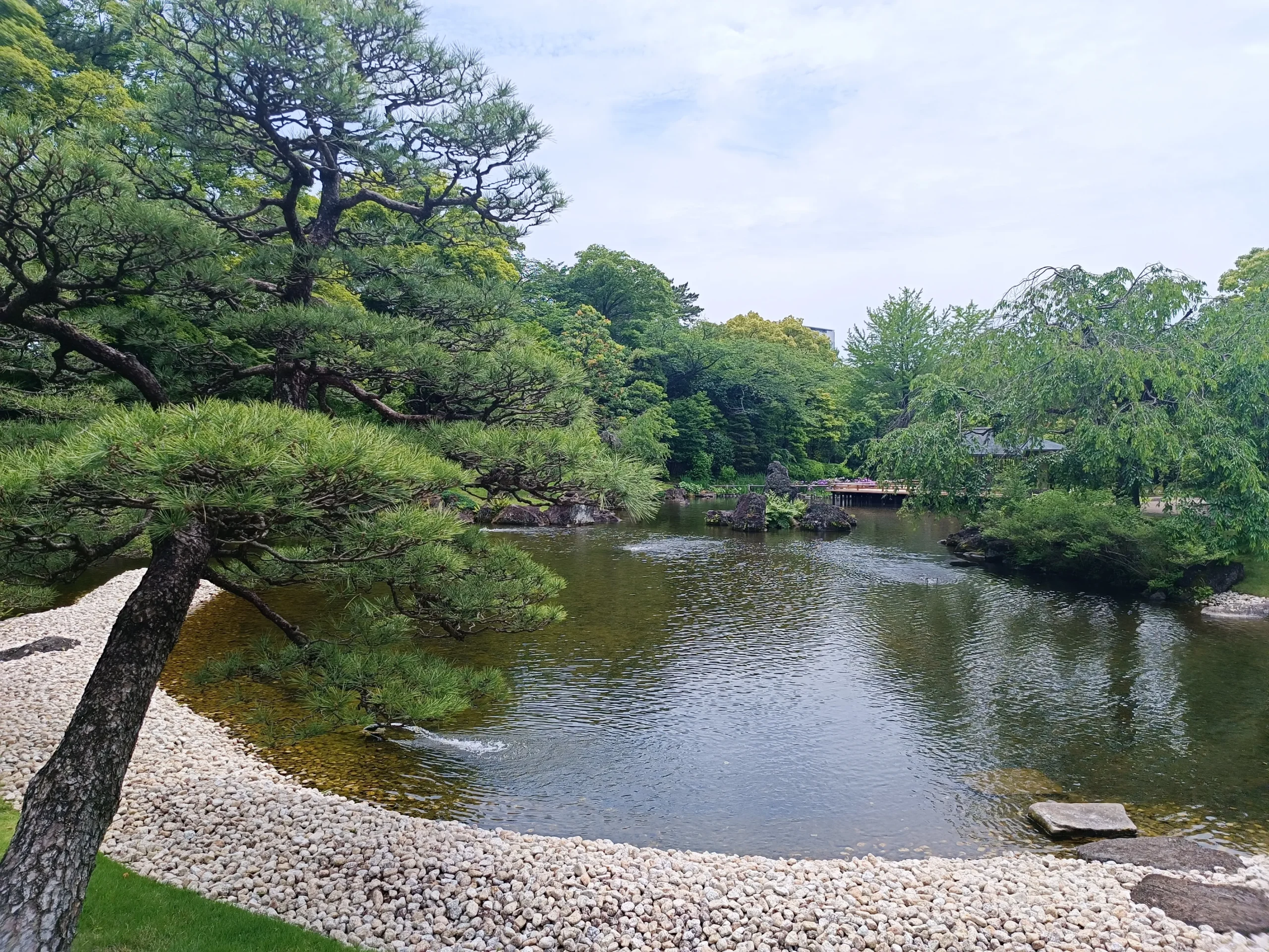 Photo du parc de Shizuoka avec un étang et de la végétation autour